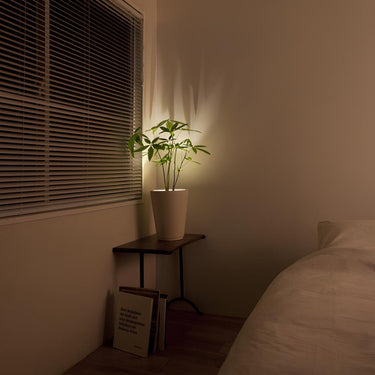 Adjustable Wall Spotlight With Remote Control And Adhesive Mount - Image 8