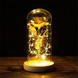 Enchanted Galaxy Rose Glass Dome Lamp With LED Fairy Lights - Image 4