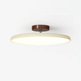 Flush Mount Ceiling Light With Adjustable Head And Acrylic Shade - Image 1