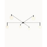 Frosted Glass Multi-Arm Globe Ceiling Light - Image 1