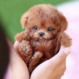 Interactive Robotic Puppy With Touch And Sound Response Lifelike Walking Barking And Tail Wagging Toy - Image 3