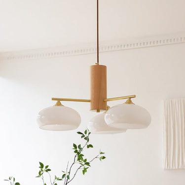 Modern Wooden Elliptical Chandelier With Brass Arms - Image 7