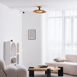 Pot-Lid Style Pot Lid Ceiling Light - Image 4