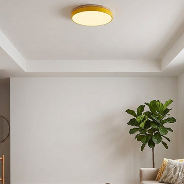 Round Flush Ceiling Light With Solid Wood Rim - Image 13