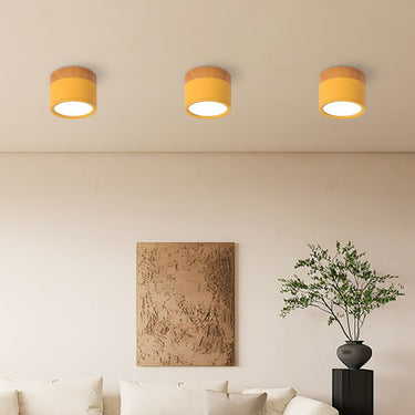 Small Cylinder Flush Ceiling Light - Image 11