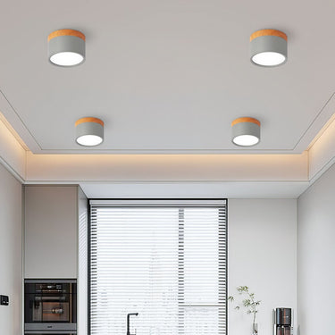 Small Cylinder Flush Ceiling Light - Image 12