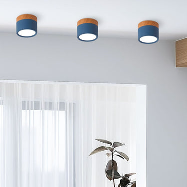 Small Cylinder Flush Ceiling Light - Image 17