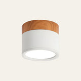 Small Cylinder Flush Ceiling Light - Image 4