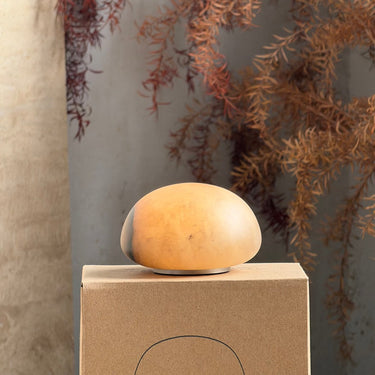 Alabaster Table Lamp With Built-In Battery - Image 3