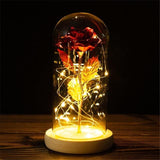 Enchanted Galaxy Rose Glass Dome Lamp With LED Fairy Lights - Image 2