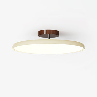 Flush Mount Ceiling Light With Adjustable Head And Acrylic Shade - Image 1