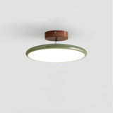 Flush Mount Ceiling Light With Adjustable Head And Acrylic Shade - Image 6
