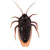 Halloween Electric Prank Toy With Infrared Remote Control And Glowing Red Eyes - Image 4