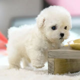 Interactive Robotic Puppy With Touch And Sound Response Lifelike Walking Barking And Tail Wagging Toy - Image 2