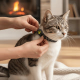 Meownav GPS Cat Tracker Collar For Real-Time Location Monitoring - Image 1
