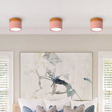 Small Cylinder Flush Ceiling Light - Image 10