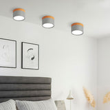 Small Cylinder Flush Ceiling Light - Image 13