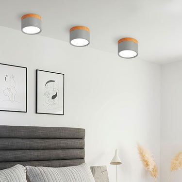 Small Cylinder Flush Ceiling Light - Image 13