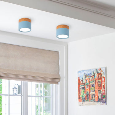 Small Cylinder Flush Ceiling Light - Image 15