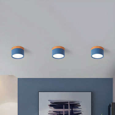 Small Cylinder Flush Ceiling Light - Image 16