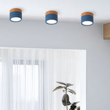 Small Cylinder Flush Ceiling Light - Image 17