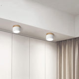Small Cylinder Flush Ceiling Light - Image 3