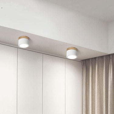 Small Cylinder Flush Ceiling Light - Image 3