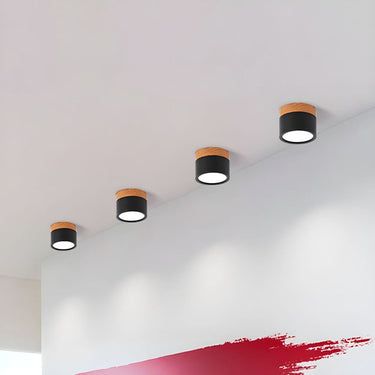 Small Cylinder Flush Ceiling Light - Image 6